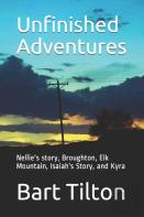 Unfinished Adventures