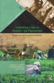Unfolding Crisis In Assam'S Tea Plantations