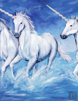 Bertrand.pt - Unicorn Notebook