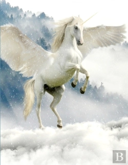 Bertrand.pt - Unicorn Notebook