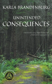 Unintended Consequences