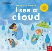 University Of Cambridge: Teeny Tiny Science: I See A Cloud