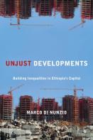 Unjust Developments