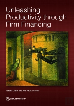 Bertrand.pt - Unleashing Productivity Through Firm Financing