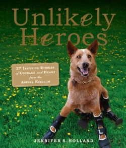 Bertrand.pt - Unlikely Heroes