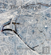 Unloved: Ellen Harvey