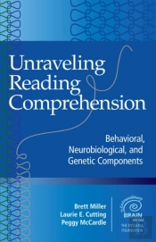 Unraveling Reading Comprehension
