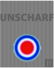 Unscharf Nach Gerhard Richter /Allemand