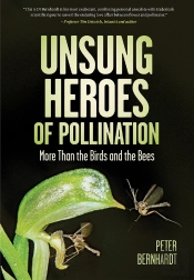 Unsung Heroes Of Pollination