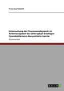 Untersuchung Der Fluoreszenzdynamik Im Antennensystem Des Chlorophyll D-Haltigen Cyanobakteriums Acaryochloris Marina
