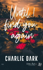 Until I Find You... Again