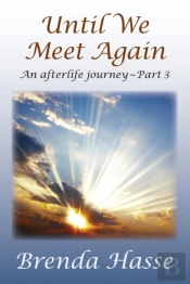 Until We Meet Again: An Afterlife Journe