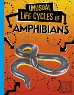 Unusual Life Cycles Of Amphibians
