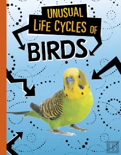 Bertrand.pt - Unusual Life Cycles Of Birds