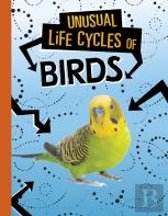Unusual Life Cycles Of Birds