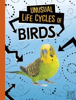 Bertrand.pt - Unusual Life Cycles Of Birds