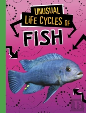Unusual Life Cycles Of Fish