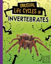Unusual Life Cycles Of Invertebrates