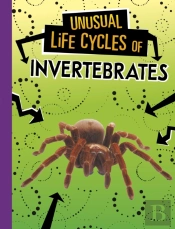 Unusual Life Cycles Of Invertebrates