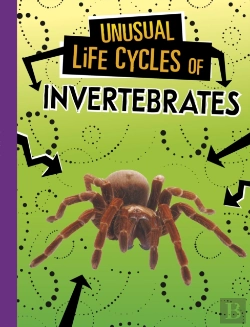 Bertrand.pt - Unusual Life Cycles Of Invertebrates