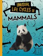 Unusual Life Cycles Of Mammals