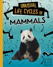 Unusual Life Cycles Of Mammals