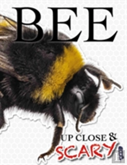 Bertrand.pt - Up Close & Scary Bee