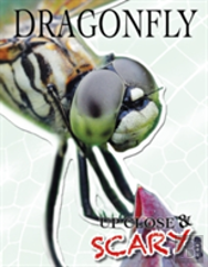 Up Close & Scary Dragonfly