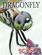Up Close & Scary Dragonfly