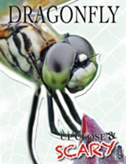 Bertrand.pt - Up Close & Scary Dragonfly