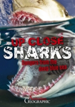 Bertrand.pt - Up Close Sharks