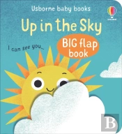 Up In The Sky