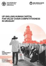 Up-Skilling Human Capital For Value-Chain Competitiveness In Uruguay