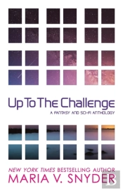 Up To The Challenge