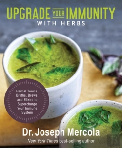 Bertrand.pt - Upgrade Your Immunity With Herbs