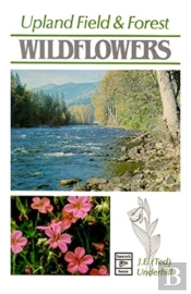 Upland Field And Forest Wildflowers