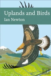Uplands And Birds