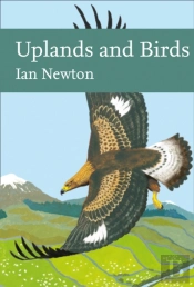 Uplands And Birds