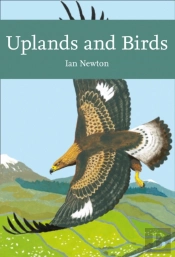 Uplands And Birds