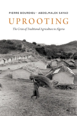 Bertrand.pt - Uprooting
