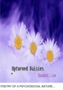 Upturned Daisies
