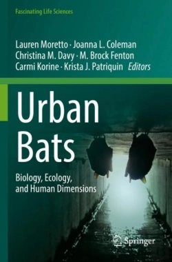 Bertrand.pt - Urban Bats