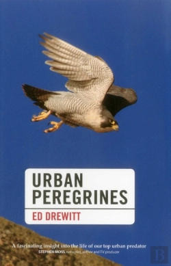 Bertrand.pt - Urban Peregrines