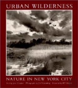 Bertrand.pt - Urban Wilderness