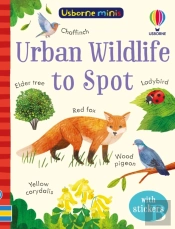 Urban Wildlife To Spot