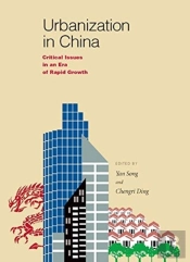 Urbanization In China Â€“ Critical Issues In An Era Of Rapid Growth