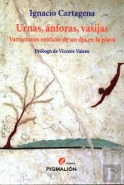 Urnas Anforas Vasijas