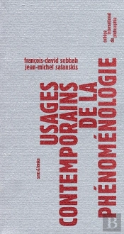 Usages Contemporains De La Phénomenologie