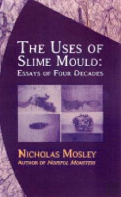 Bertrand.pt - Uses Of Slime Mould