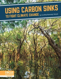 Bertrand.pt - Using Carbon Sinks To Fight Climate Change